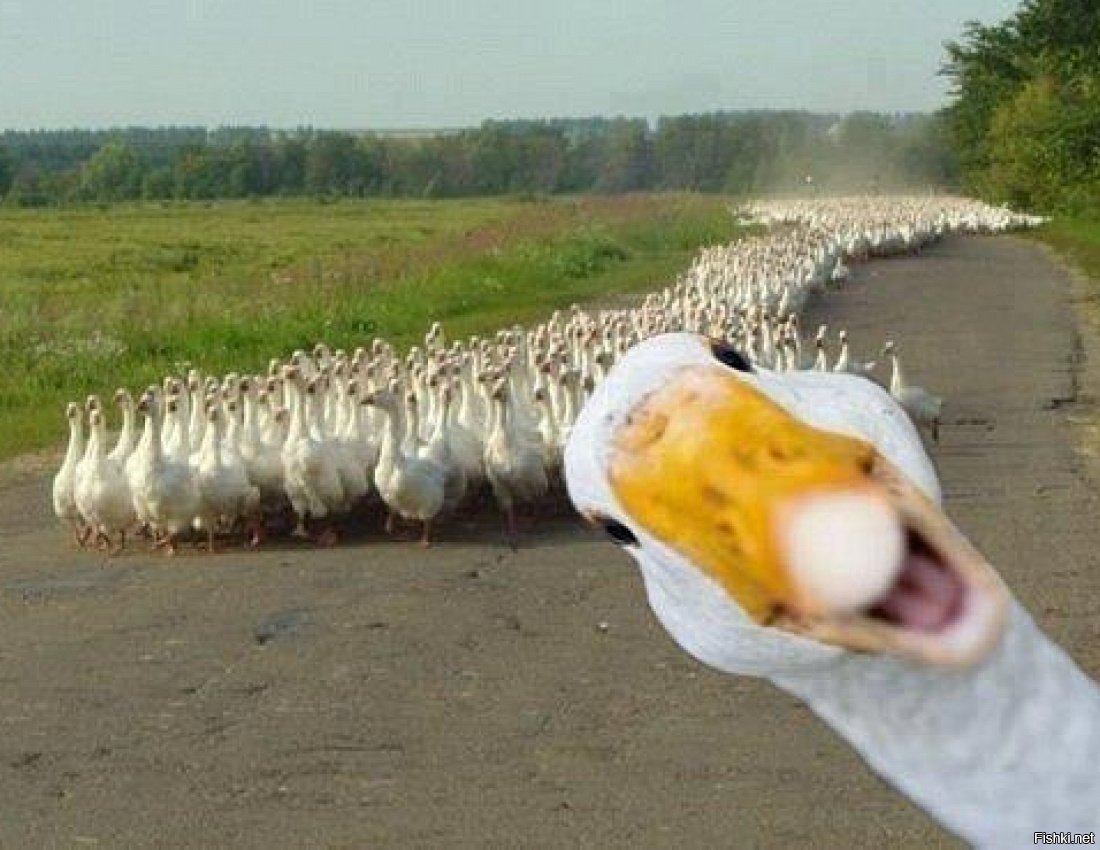 С днём рождения мужчине