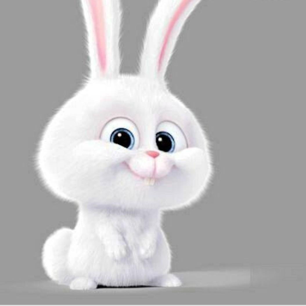 Белый Зайка из мультика Тайная жизнь