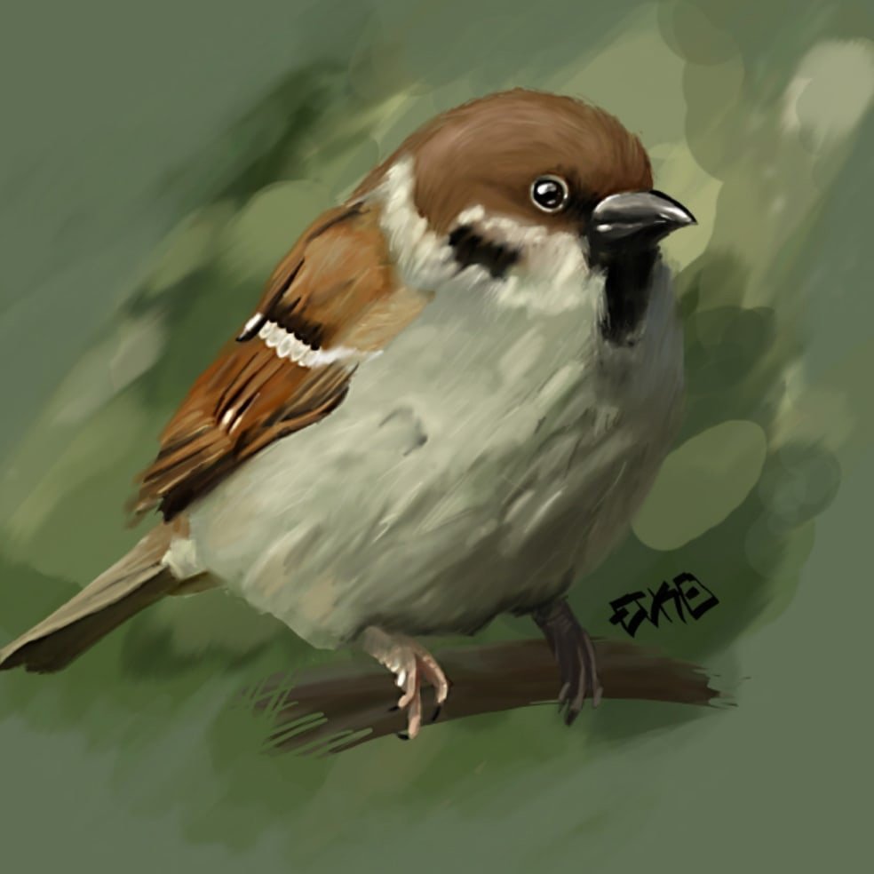 Воробьи мультяшные