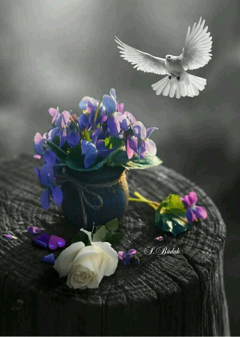 Душевные цветы