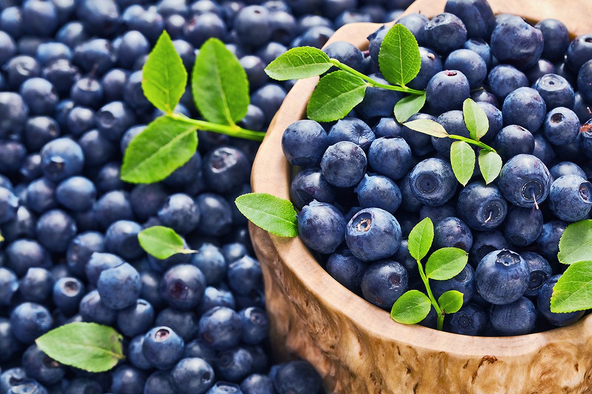 Черничный подсолнух