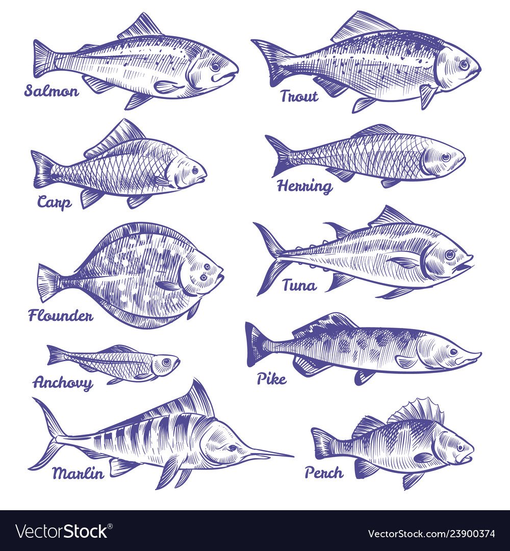 Окуни и лини