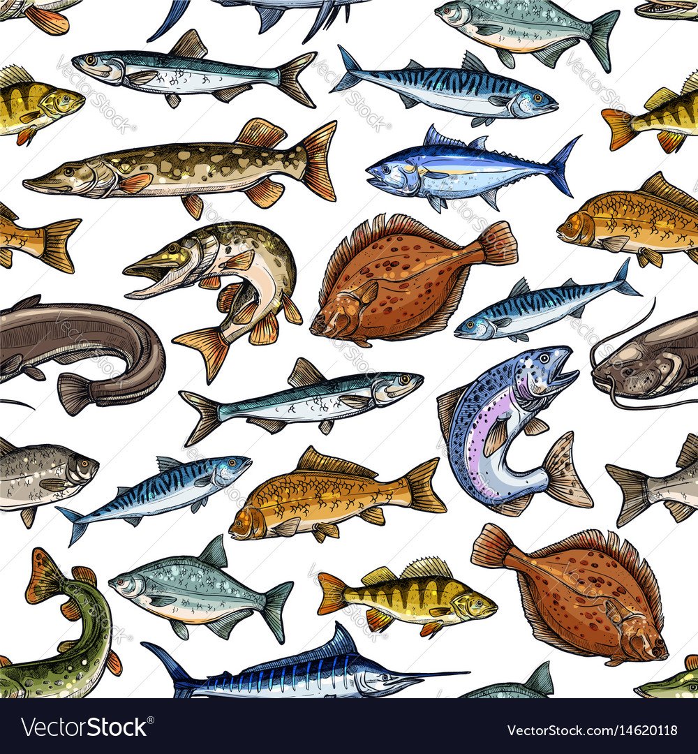 Морская рыба названия