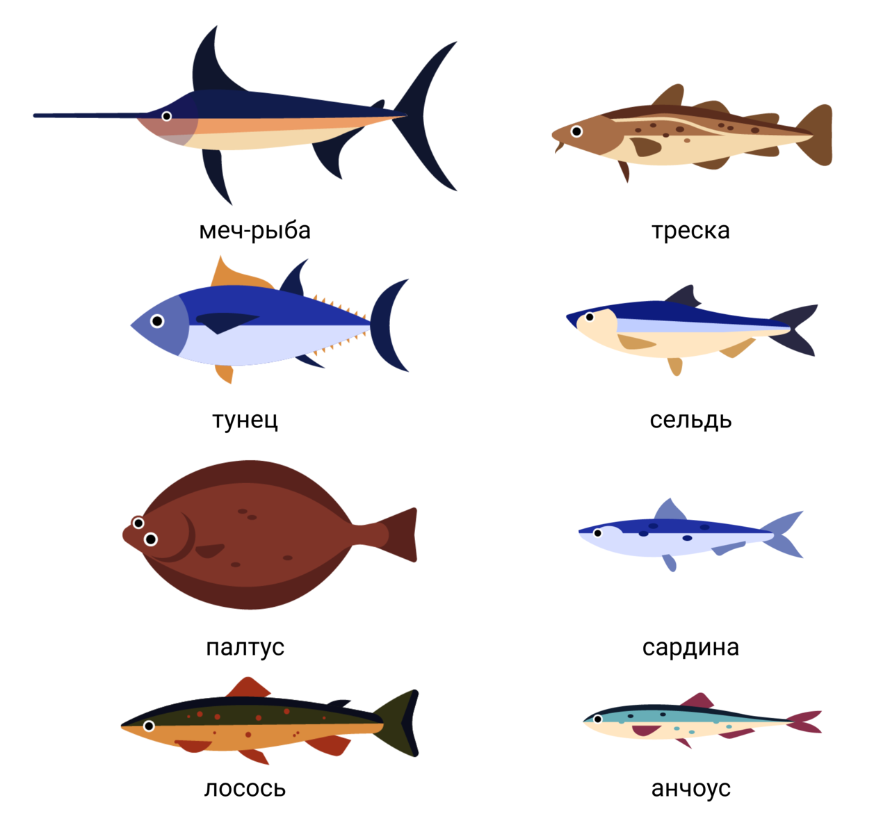 Название рыб с картинками. Виды рыб. Морская рыба названия. Разновидности рыб морских. Название всех морских рыб.