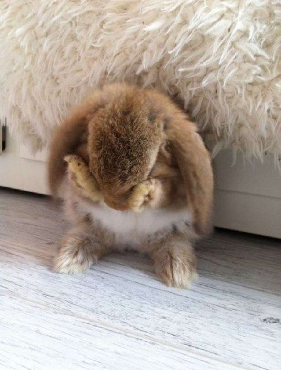 Спокойной ночи стикерыры