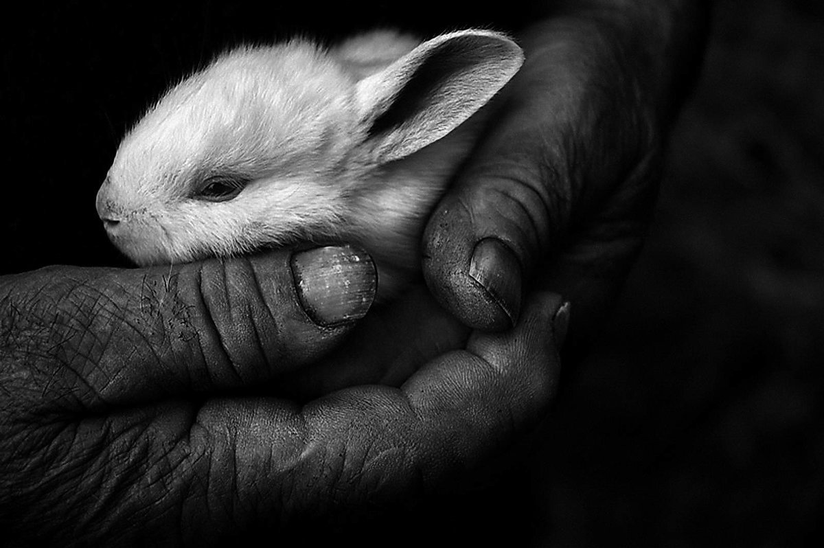 Грустные персонажи из мультфильмов