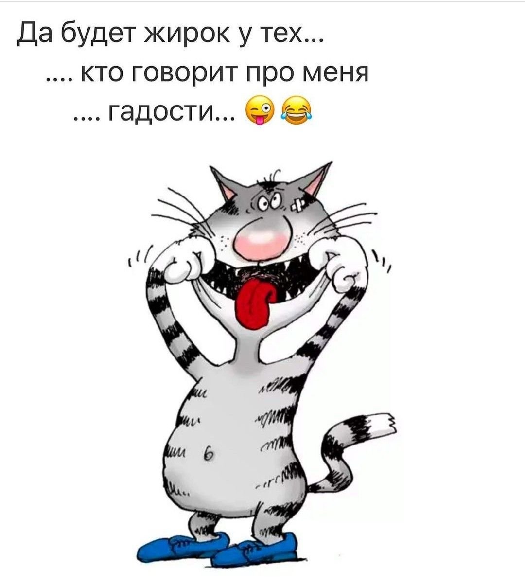 Забавные мультяшные коты