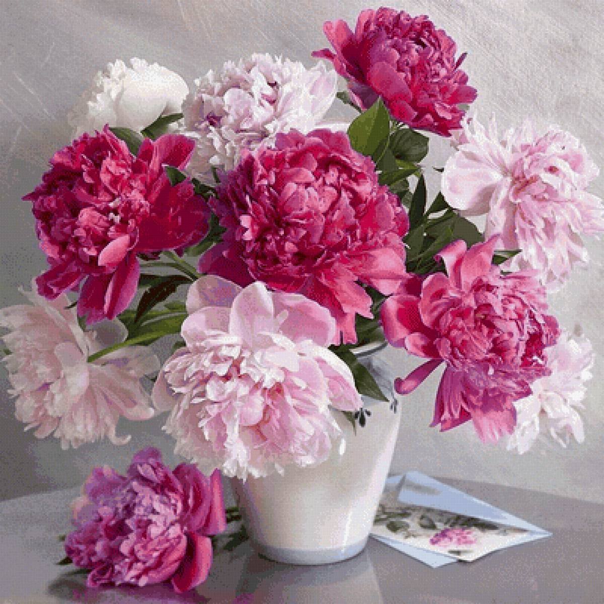 Marianna-Lokshina пионы