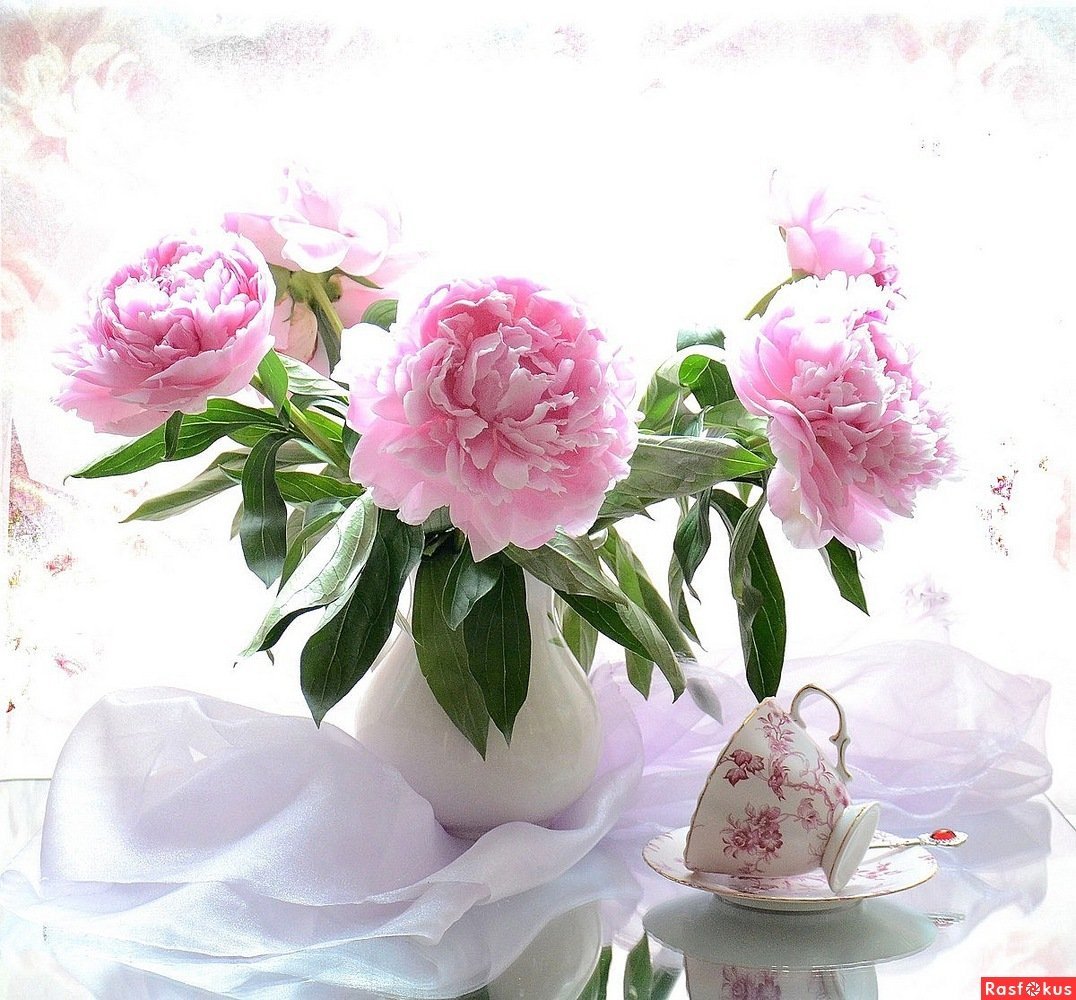 Фотонатюрморты Валентина Колова