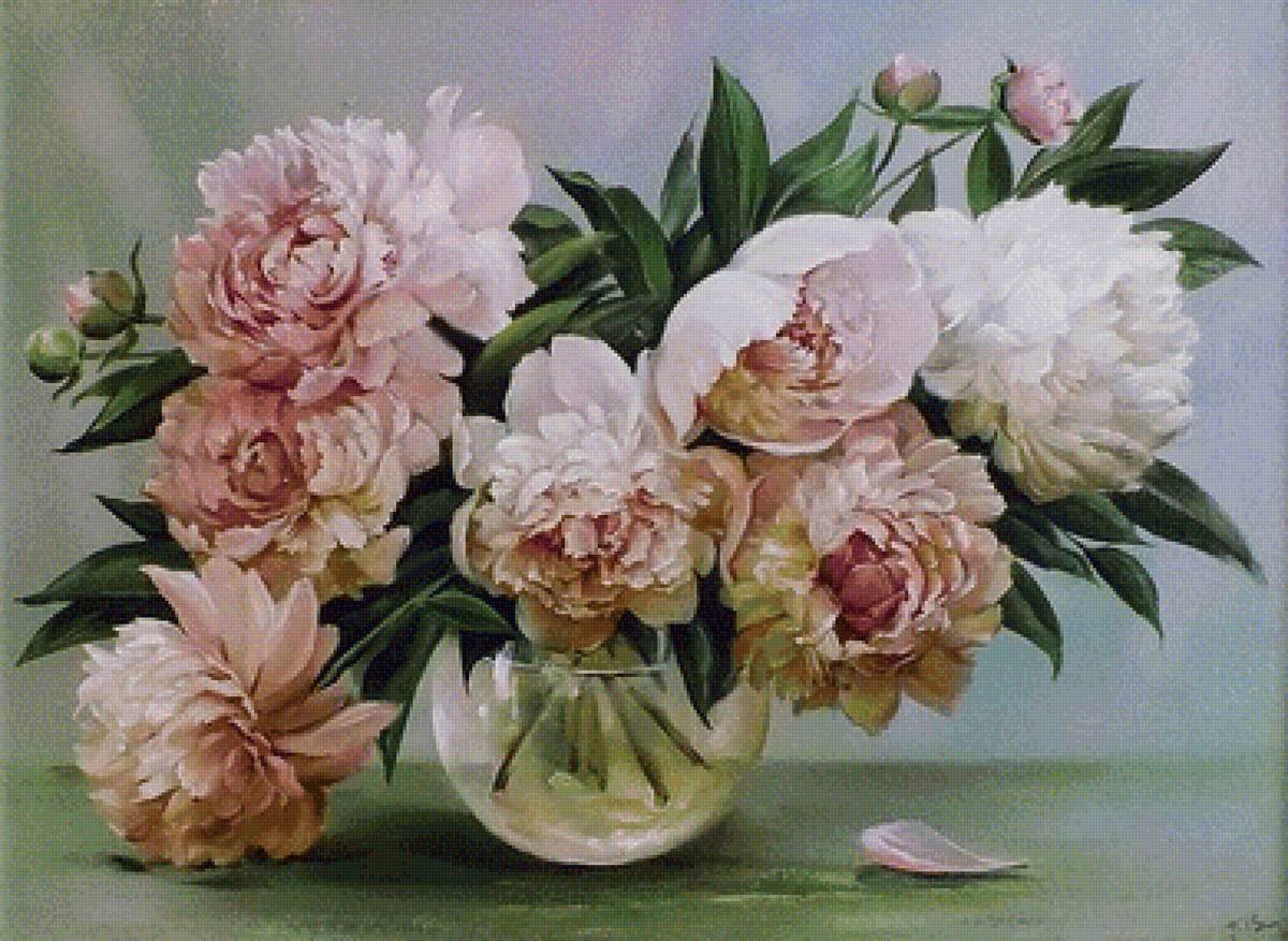 Пион зефир 63