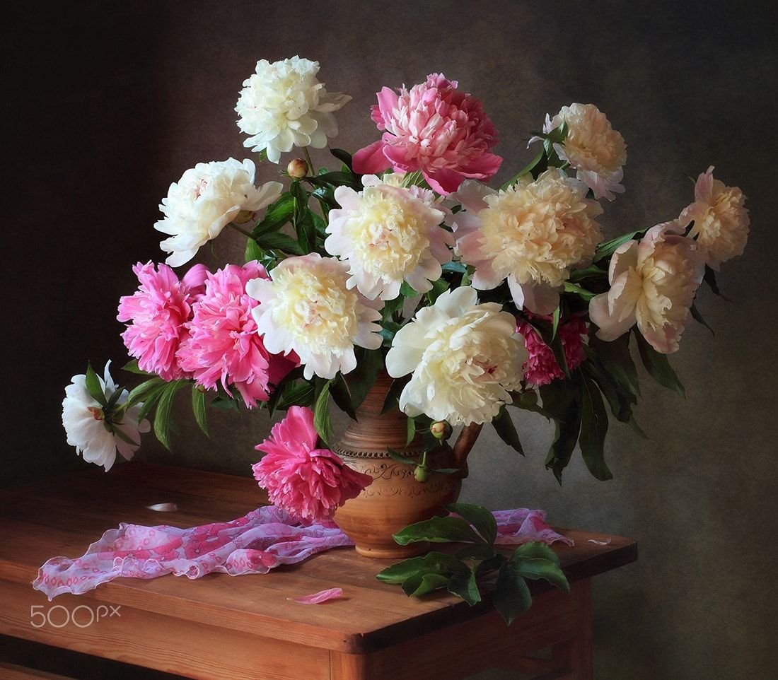 Пионы Збигнева Копаня