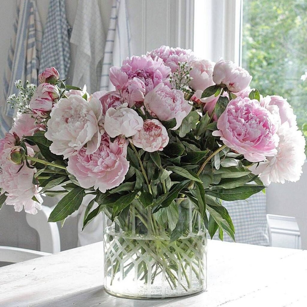 Пион букет розовых гвоздик