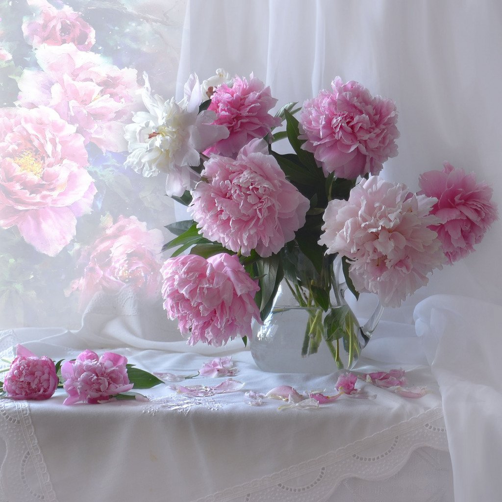 Пионы Сара Бернар натюрморт