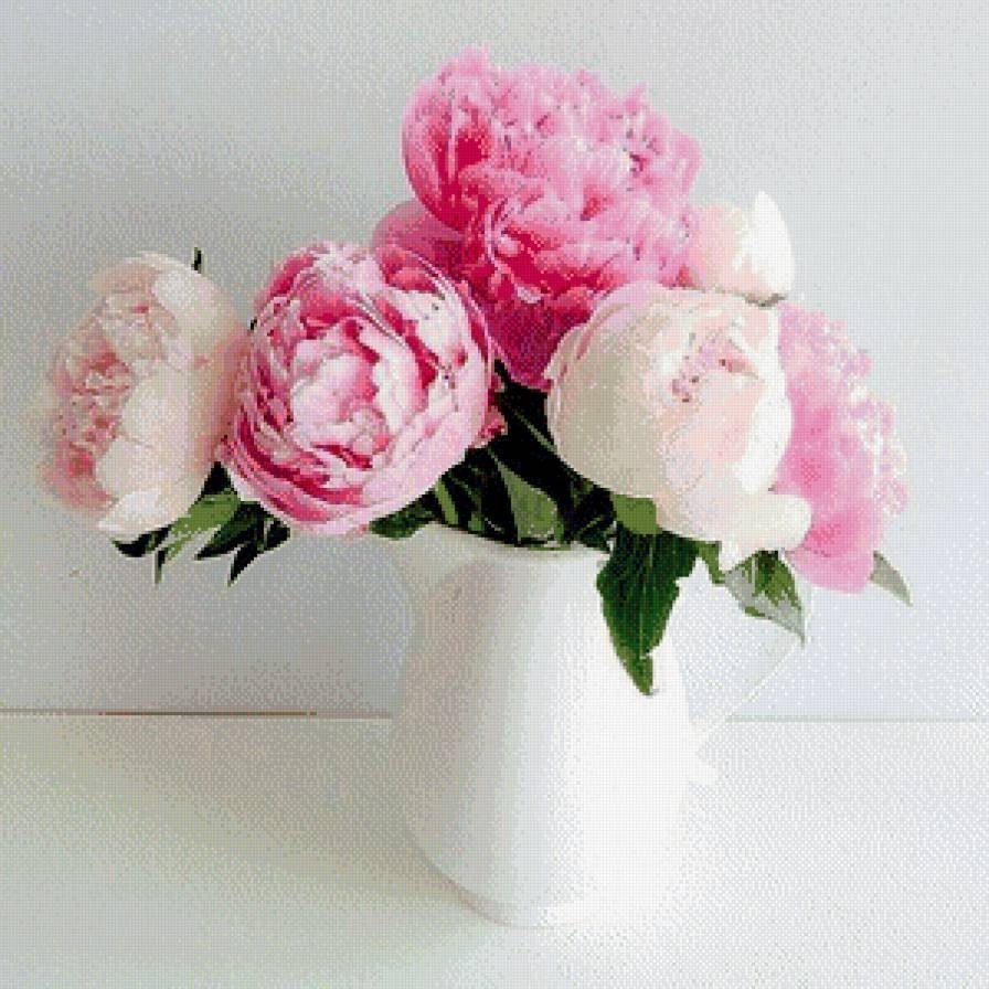 Натюрморт с пионами