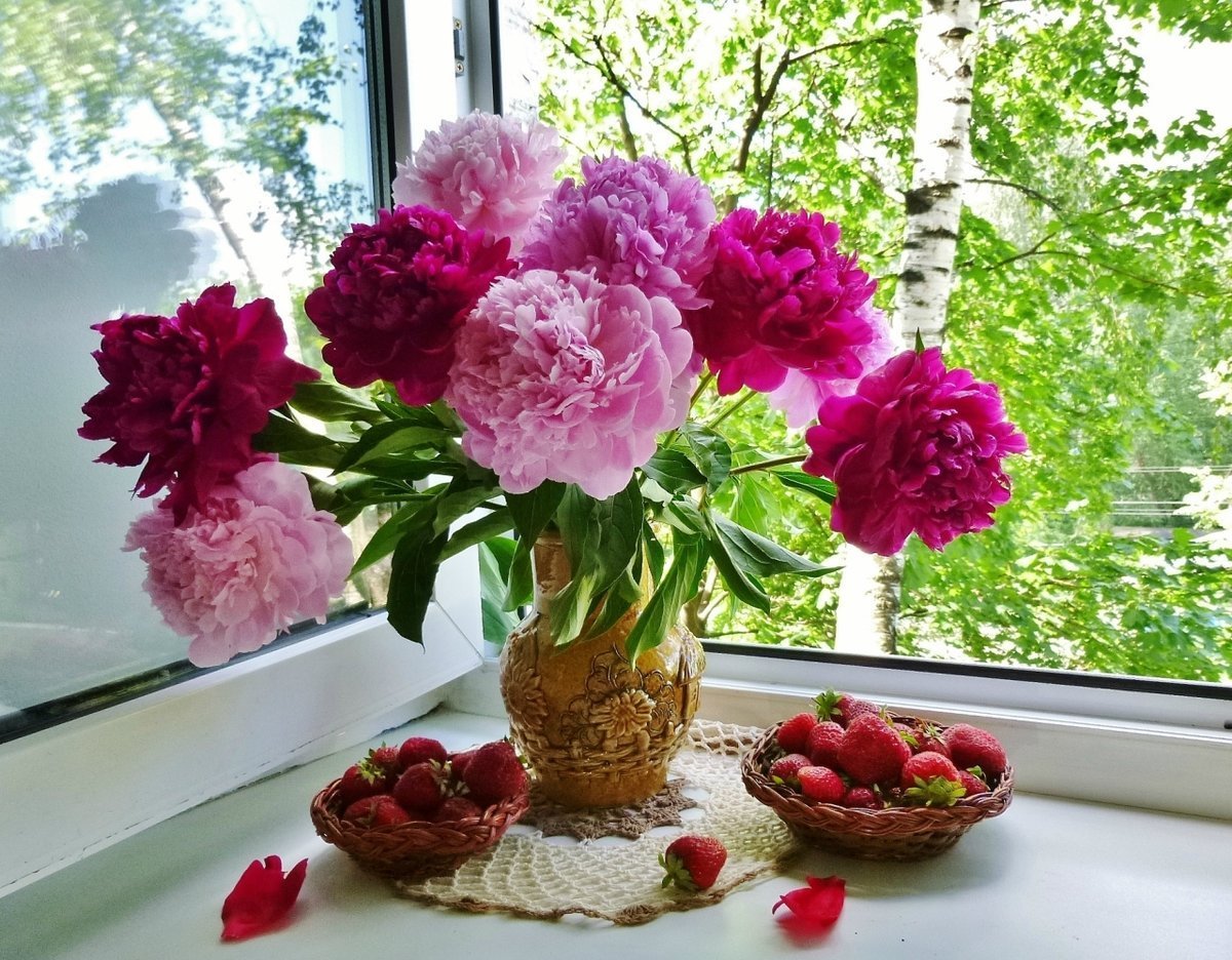 Пионы букет лежа на столе