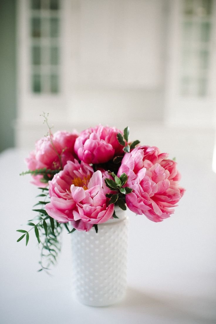 Пионы картины Анны Чепурной-Олейник