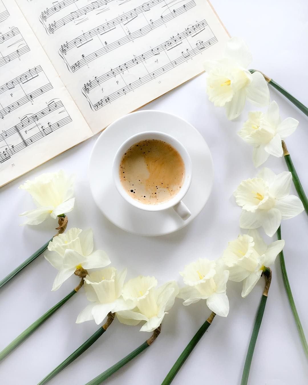 Кофе чашка с нотами