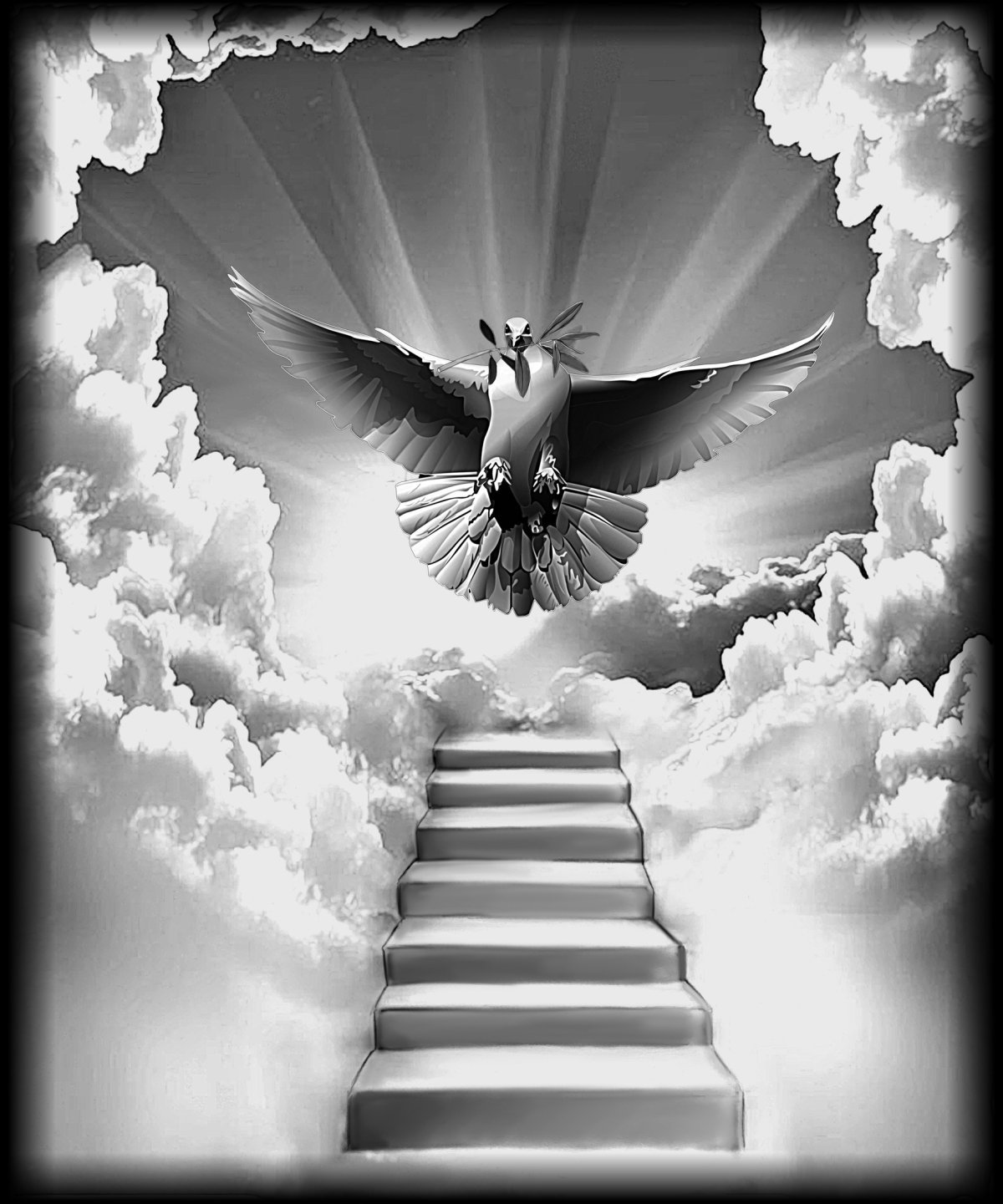 Белый голубь на черном фоне