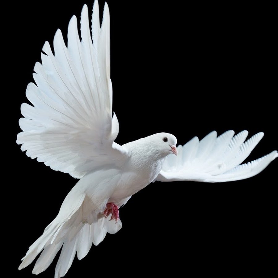 Фон для гравировки на памятниках сзади