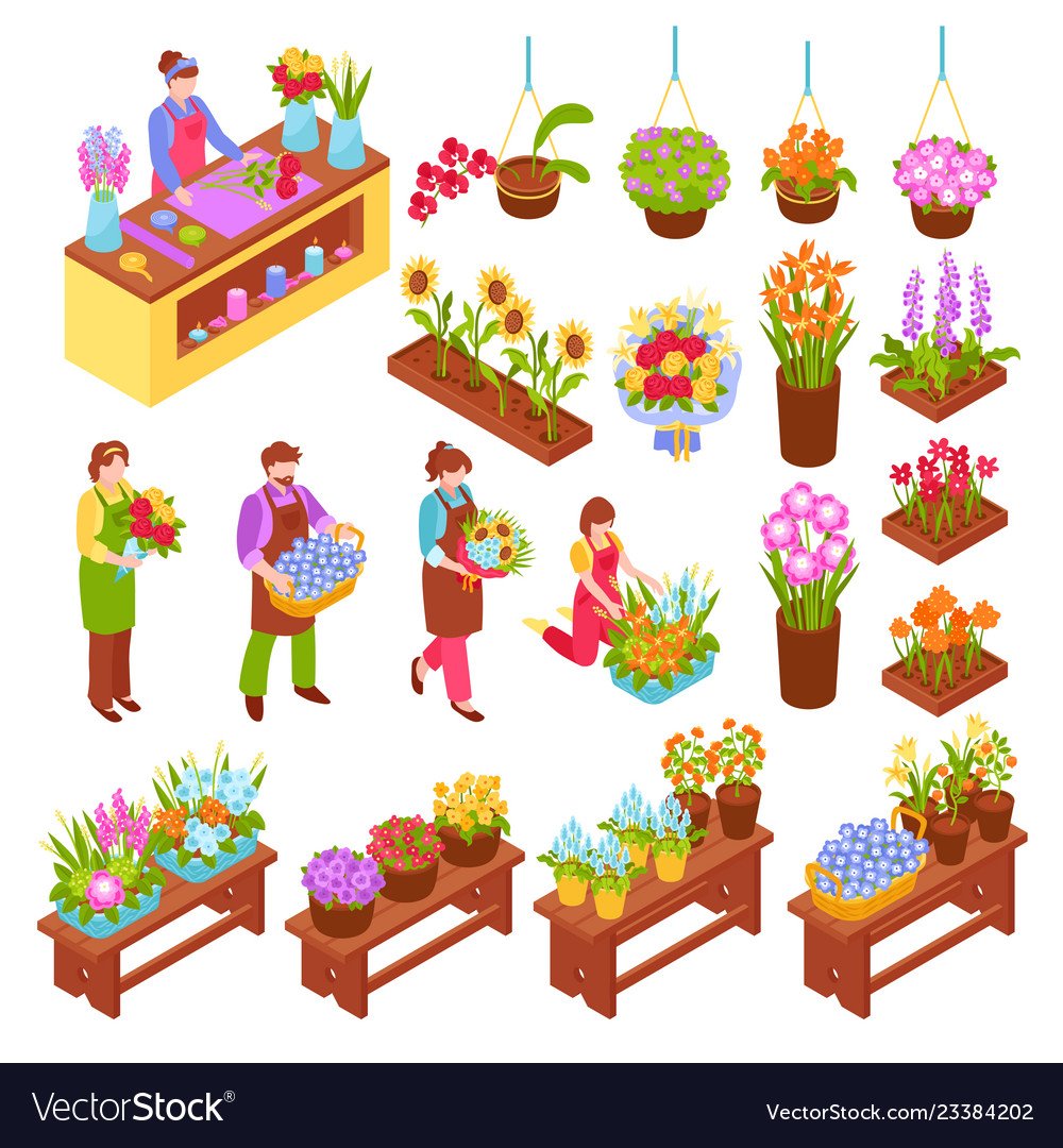 Векторные цветы в изометрии