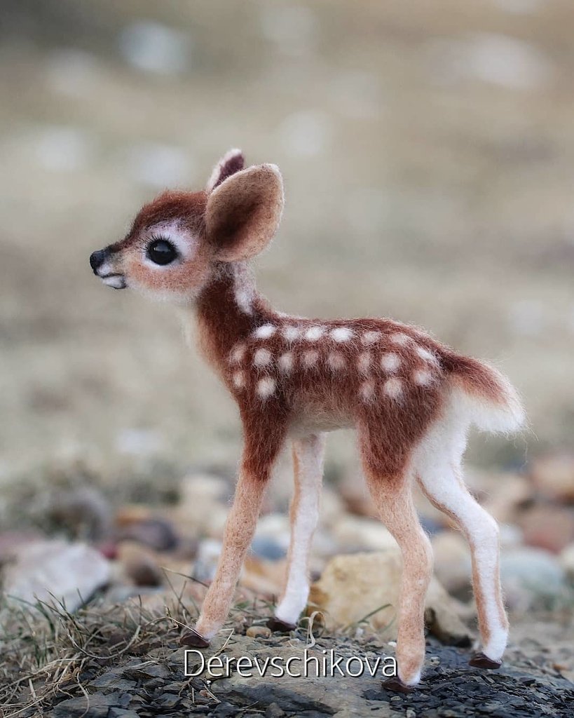 Пятнистый олень детеныш