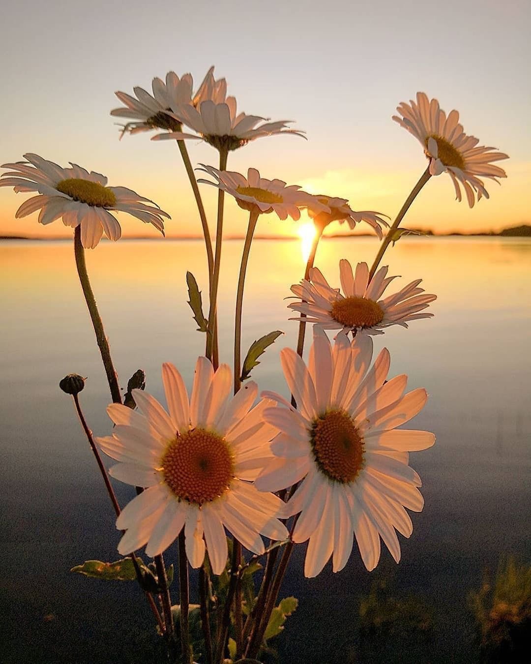 Открытки с добрым вечером красивые необычные