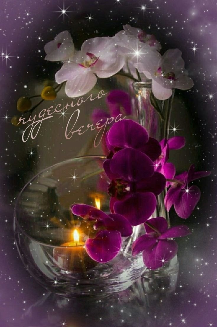 Открытки добрый вечер