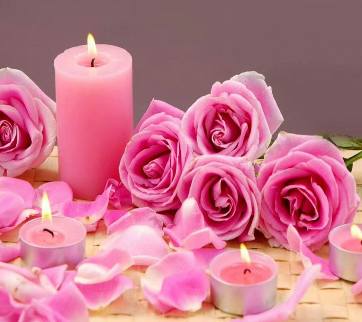 Луиза Гельтс Фотонатюрморты