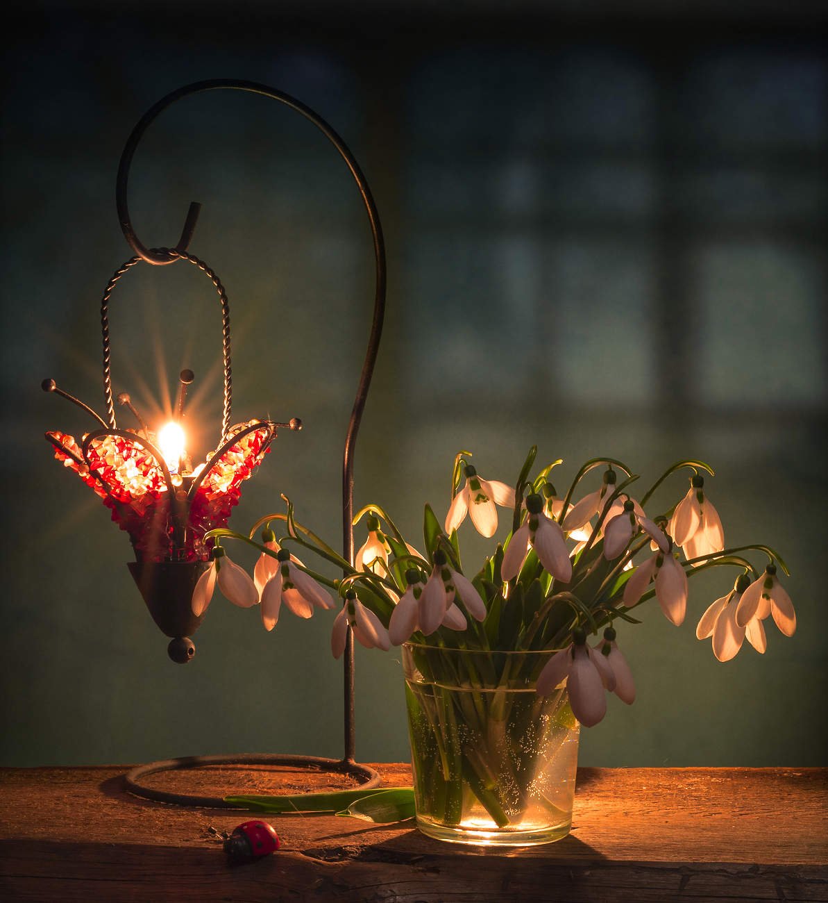 Нежный натюрморт