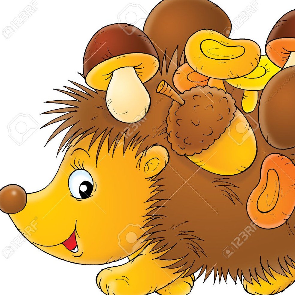 Сибирский еж