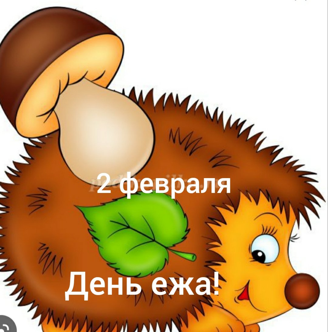 Животные осенью