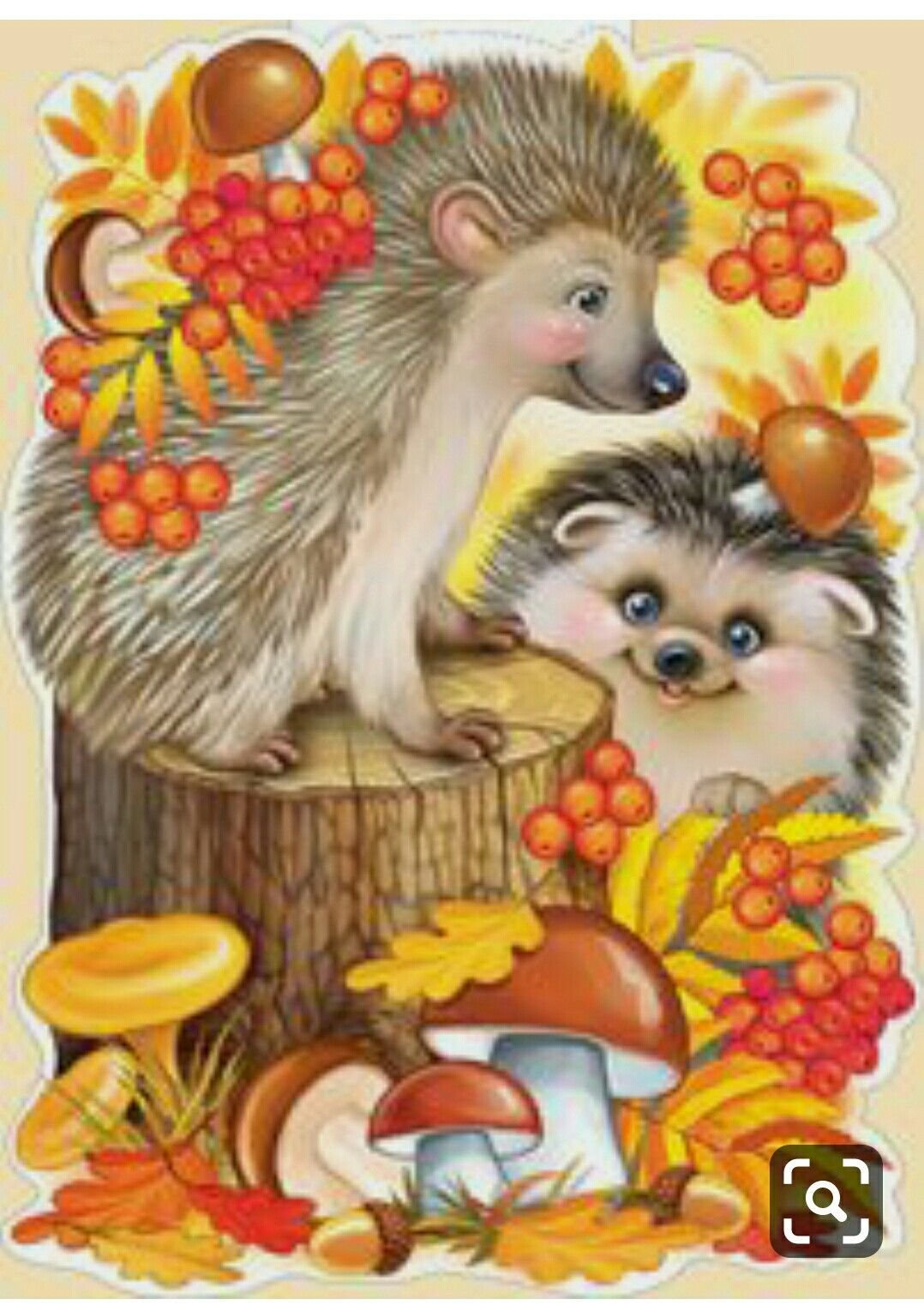 Ежик с грибком