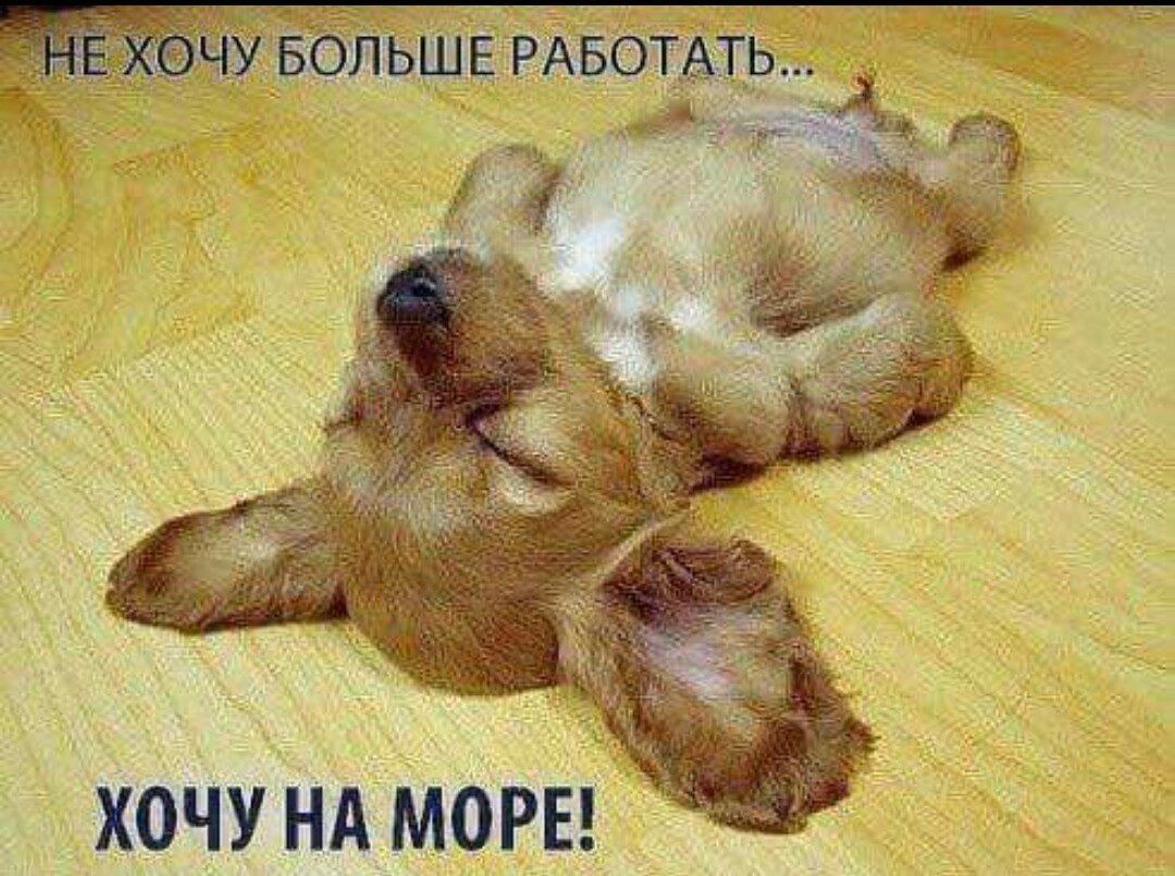 Работа не волк