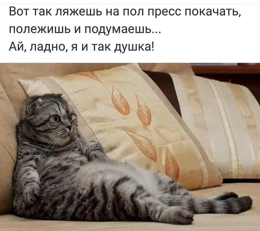 Работа нерейти на Федота