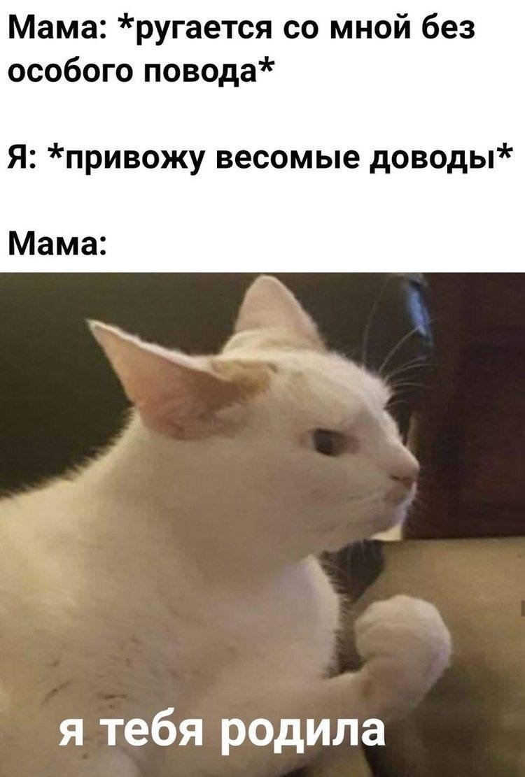 Статусы про жизнь прикольные