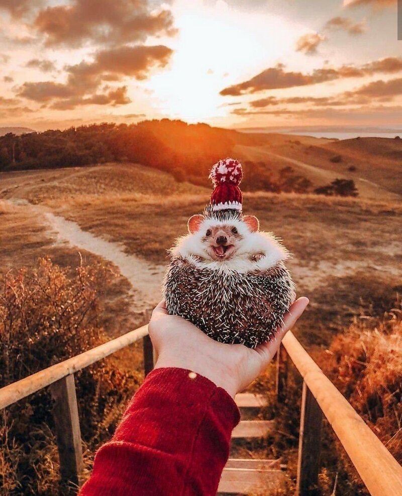 Красивые душевные картинки