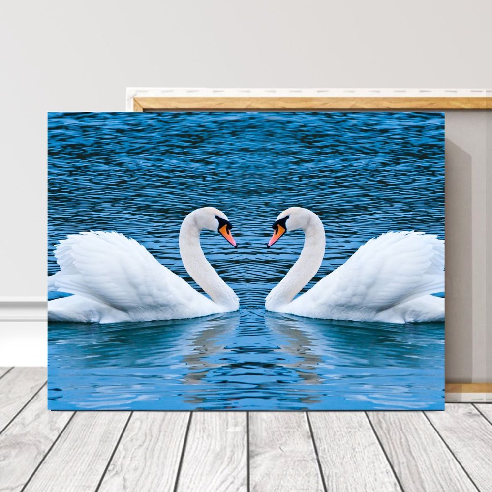 Два лебедя на свадьбу