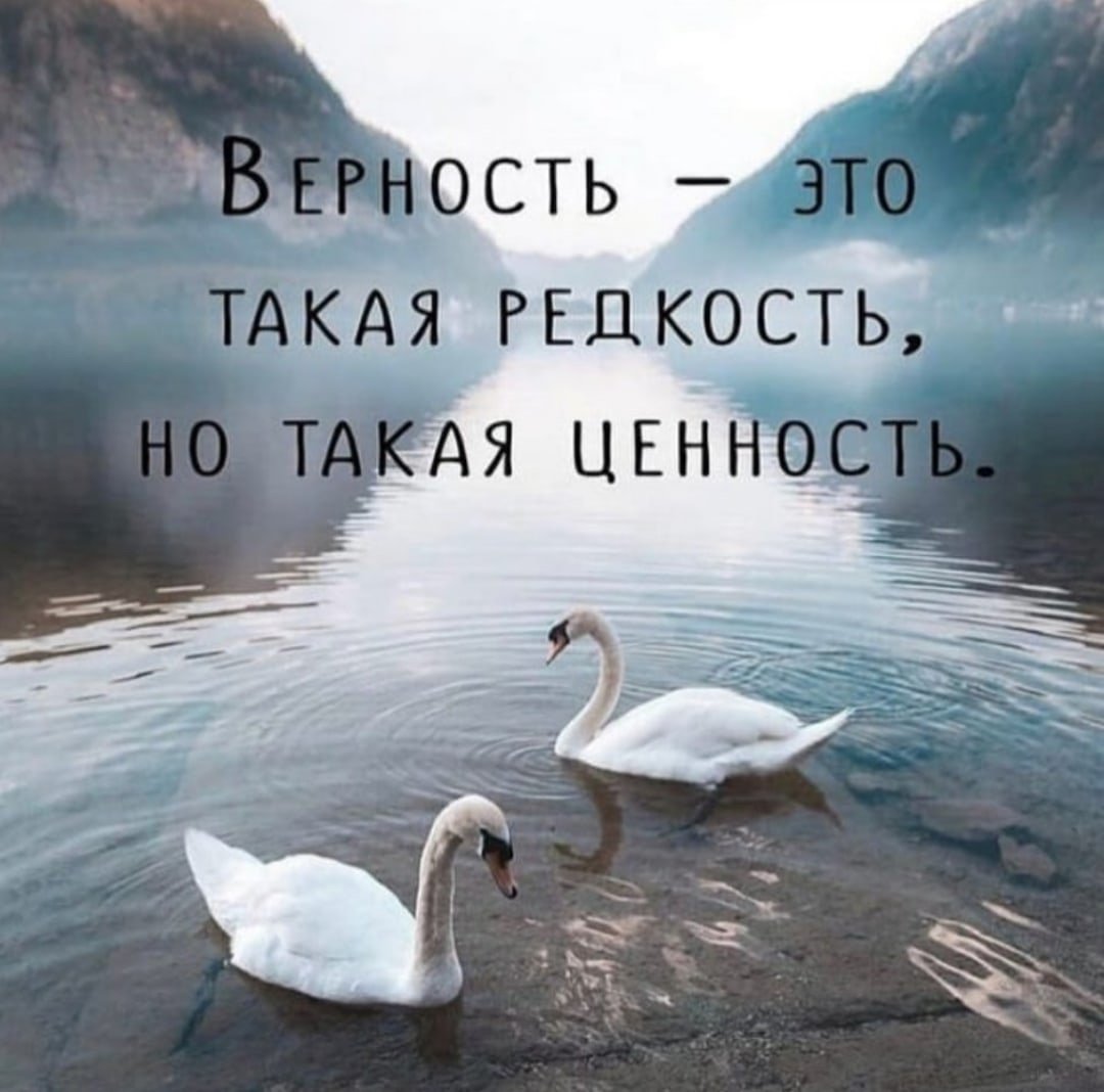 Верность это такая редкость