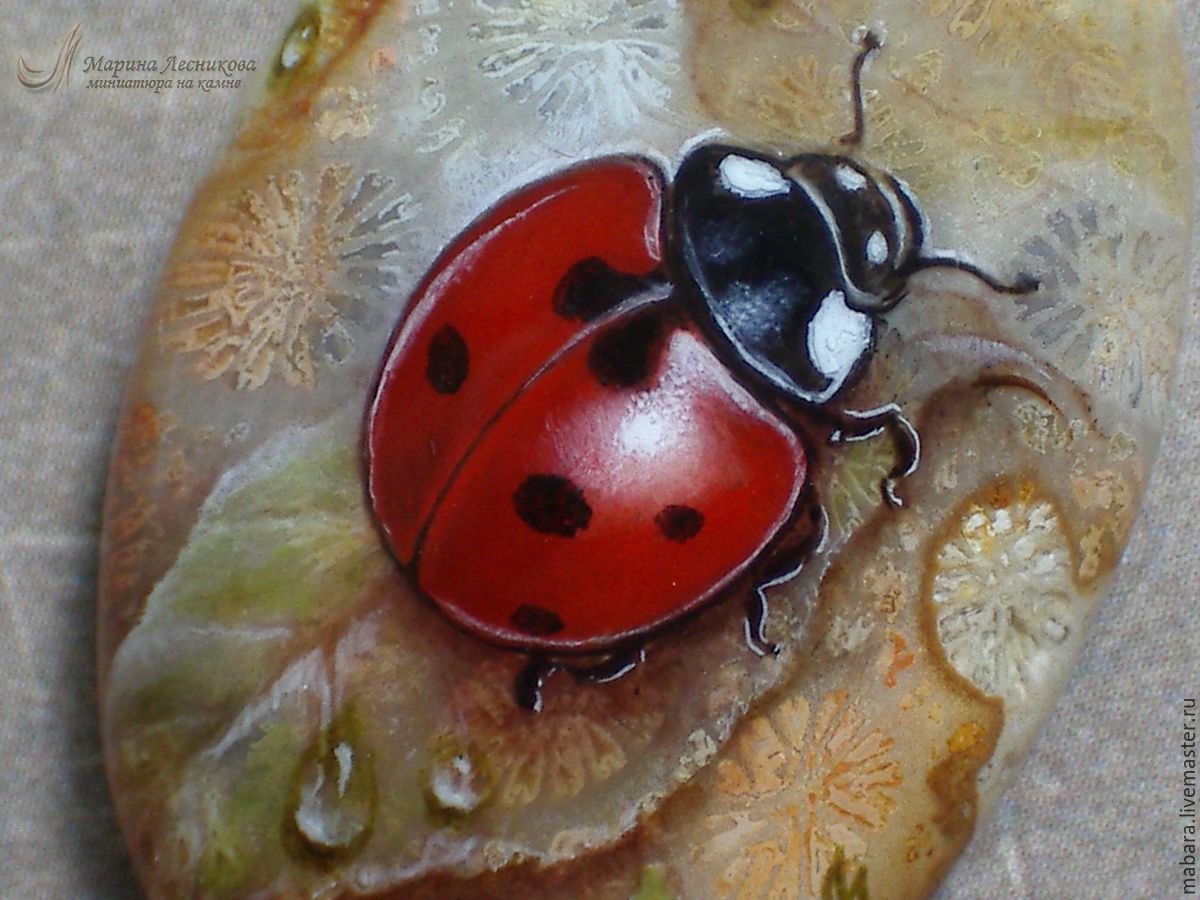 Рисование на камнях Божья коровка