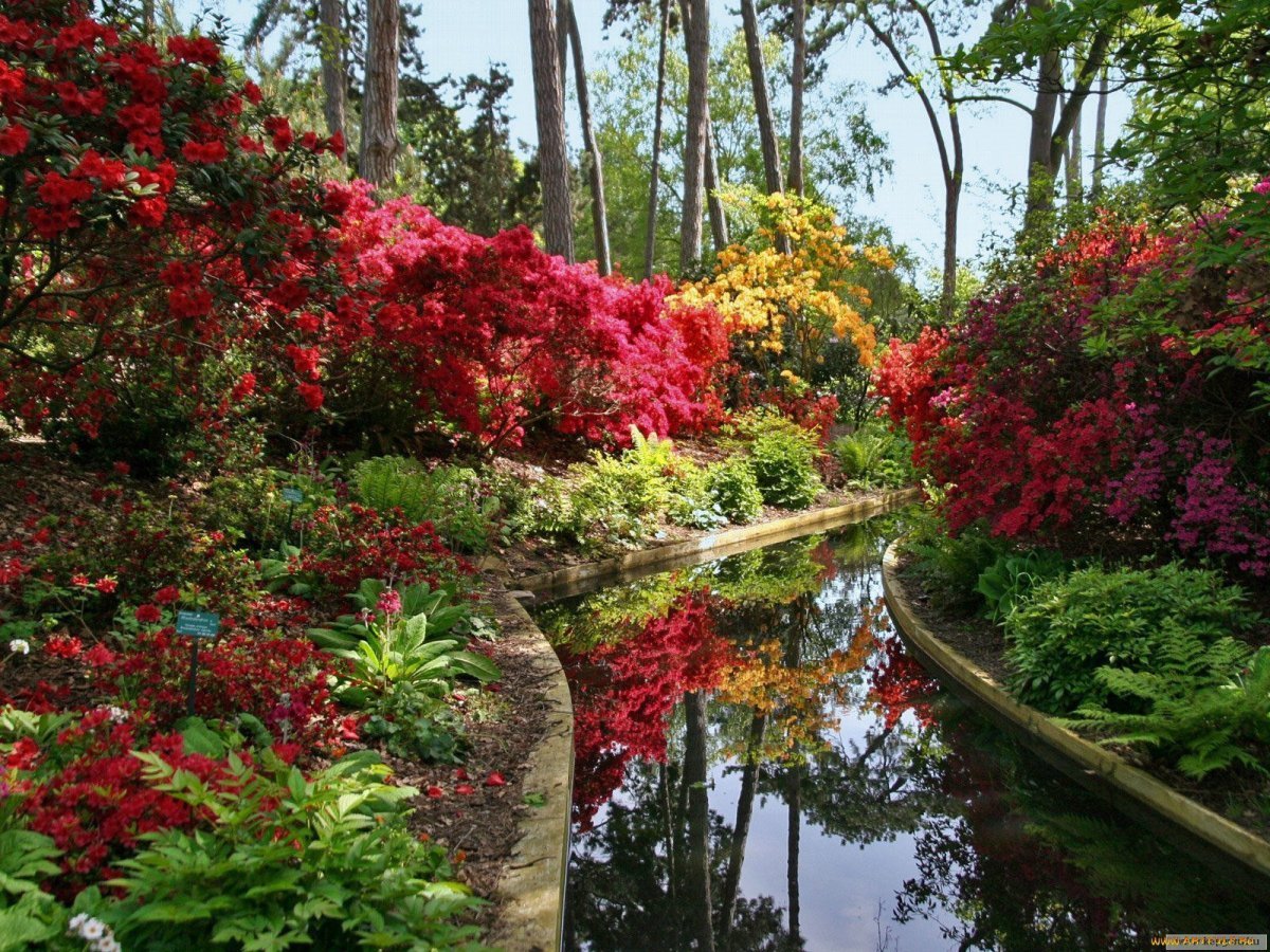 Райский сад