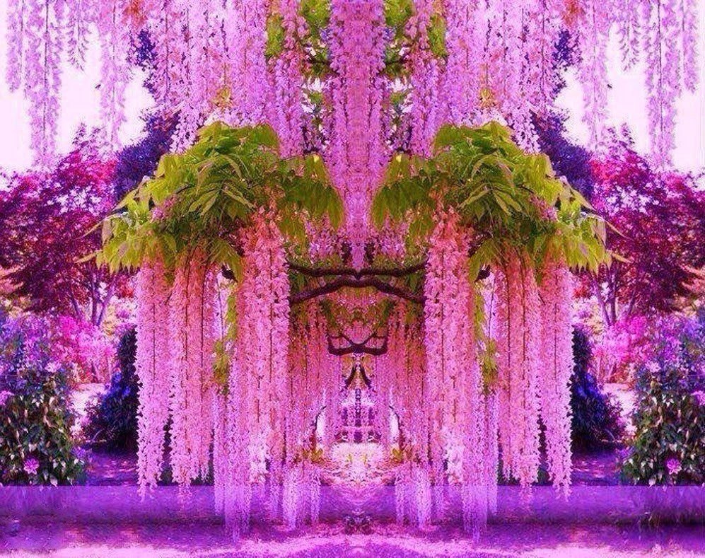 Сад Кавати Фудзи