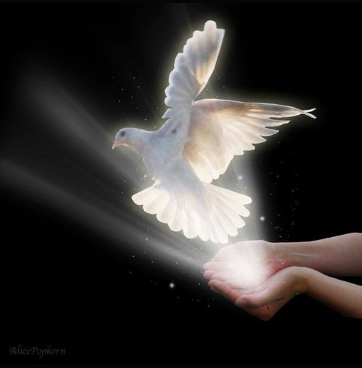 Ангел с голубем