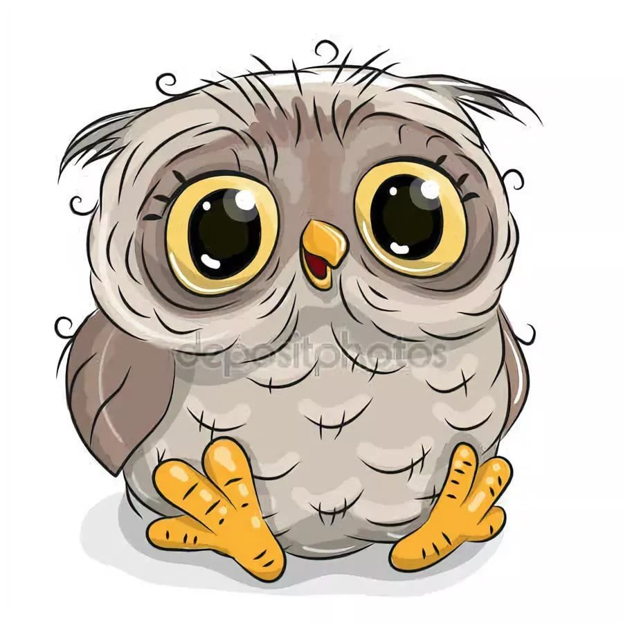 Веселая Сова на белом фоне