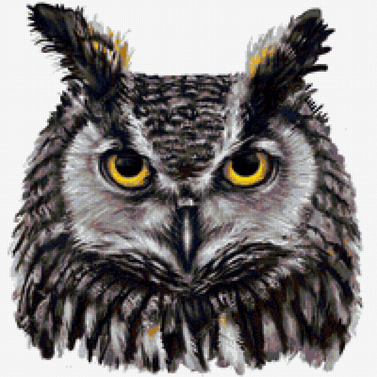 Филин голова