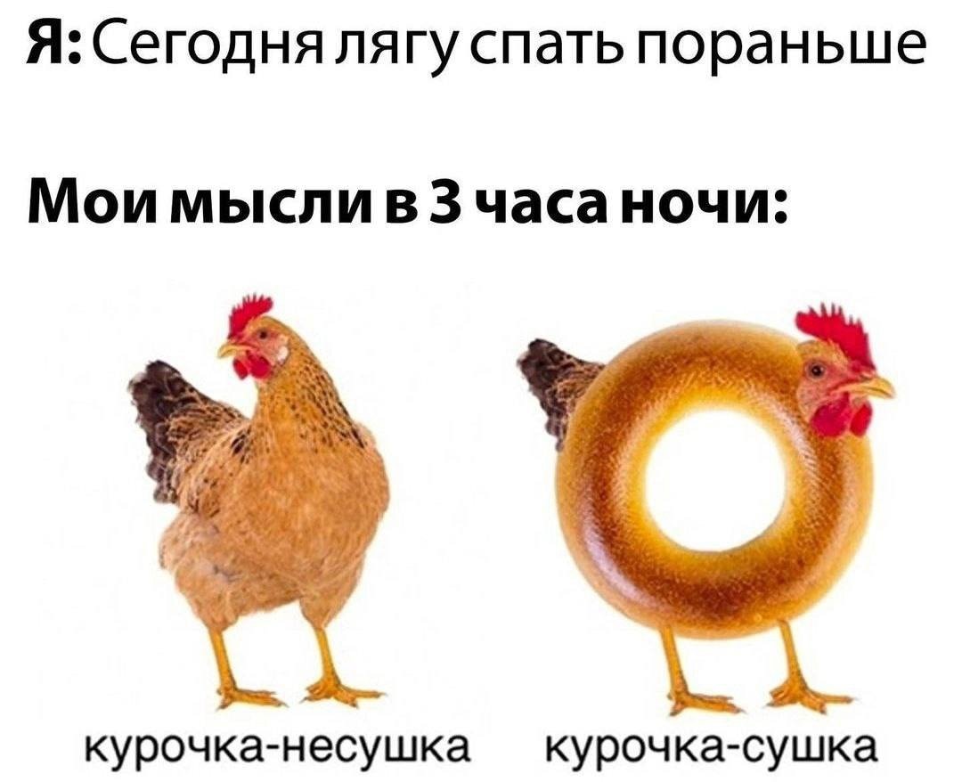 Смешные куры рисунки