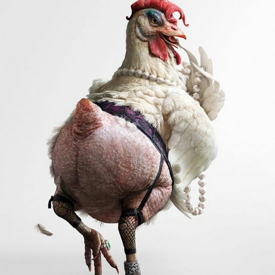 Петух УГАРНЫЙ