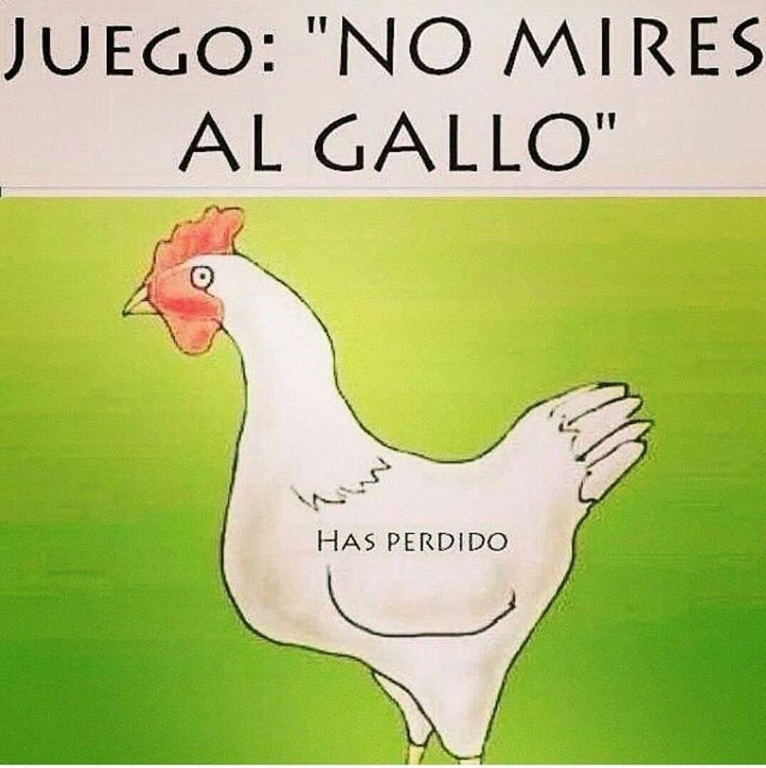 Куры прикольные картинки