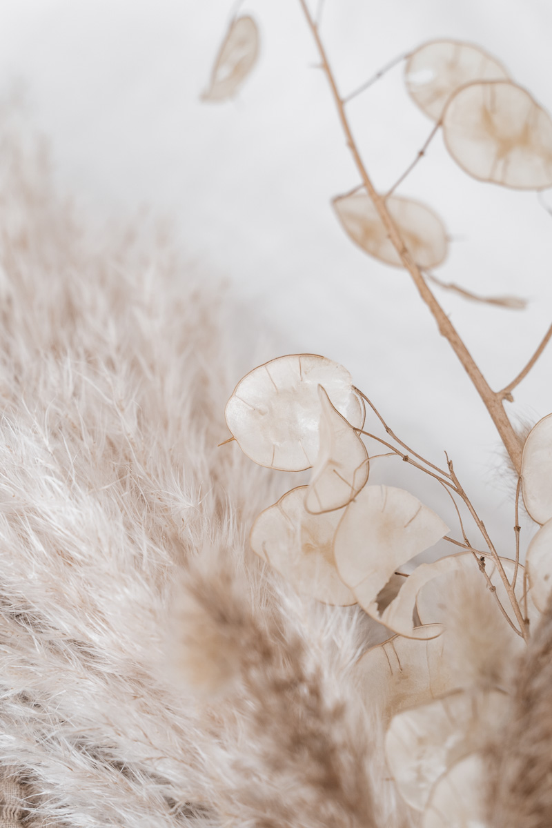 Светлый фон