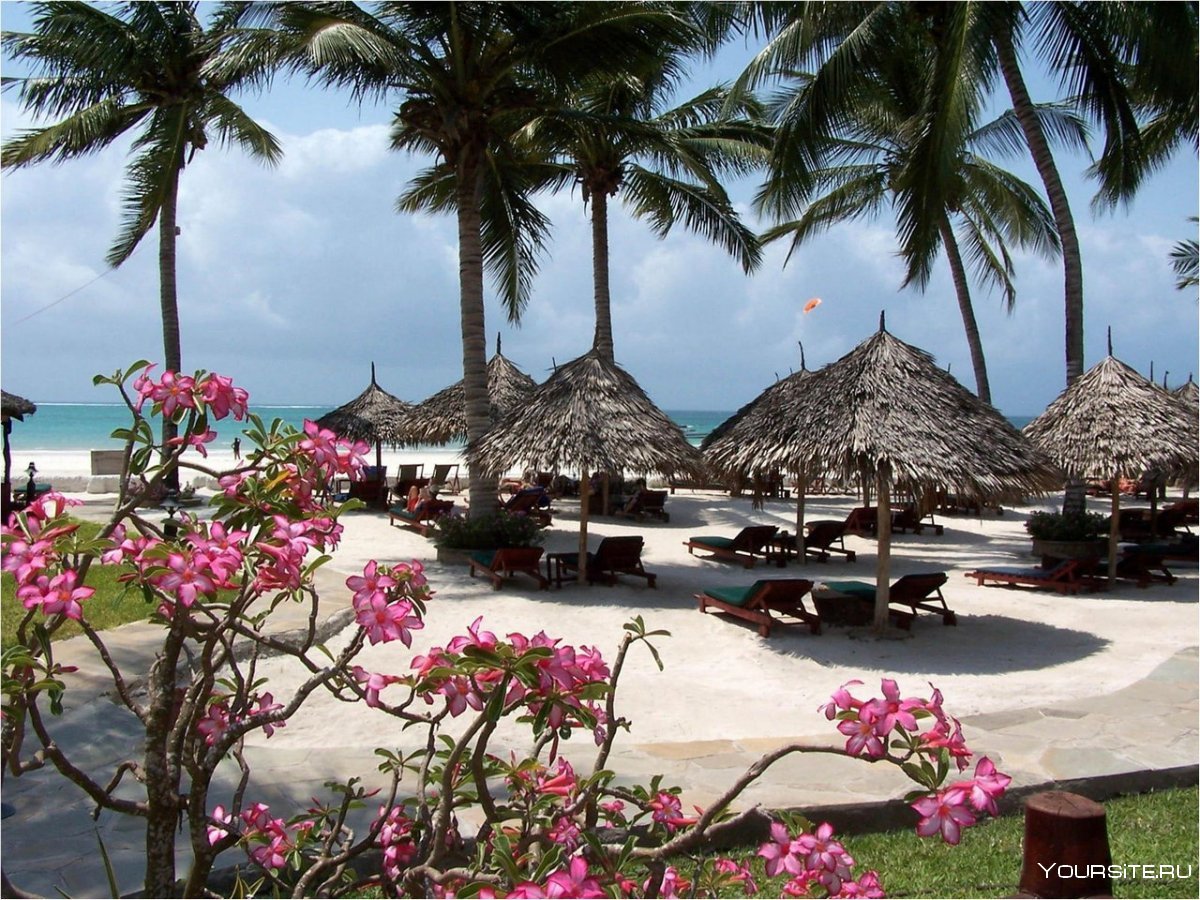 Африка Момбаса