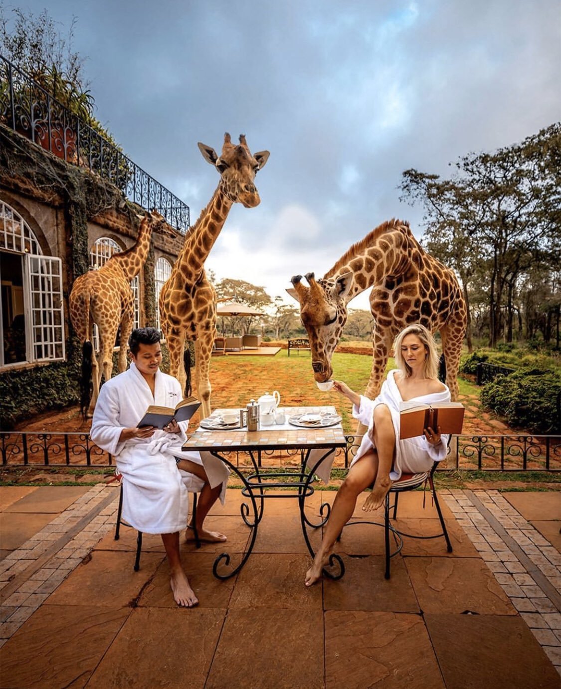 Кения Африка отель Giraffe Manor